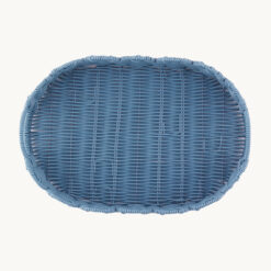 Alternative view of PP Tray 52021