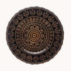 Alternative view of Glass Plate 48002