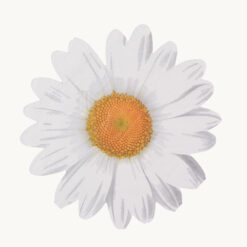 Daisy Shaped Napkin 51026