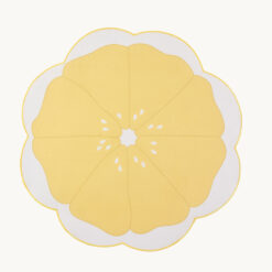 Fruit Slice Design Polyester Placemat 53406