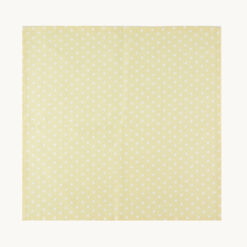 Alternative view of Napkin PN52023