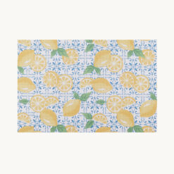 Blue-White Patterned Lemon Printed Terylene Placemat 55158