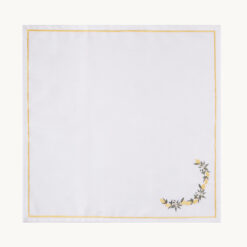 Napkin PN62027