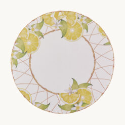 Faux Leather Placemat PP64116