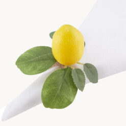 Napkin Ring PR60025