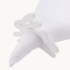 Napkin Ring PR60047